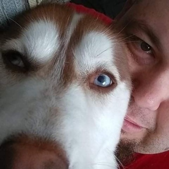 Meet your Posher, Seth - Picture 1 of 1